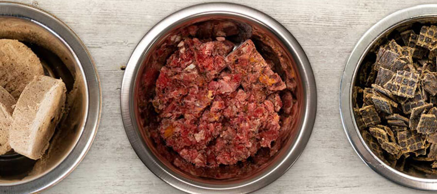 Raw Food Diet for Dogs: Understanding the Benefits and Risks